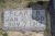 Headstone of Pearl R. Williams